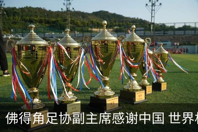 佛得角足协副主席感谢中国 世界杯后将安排与国足友谊赛