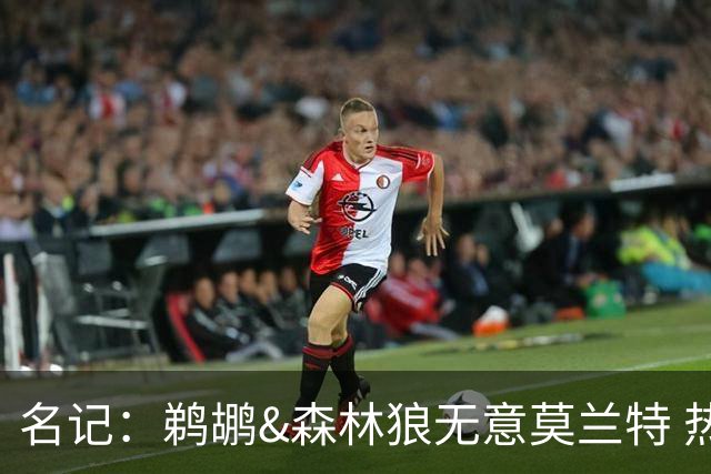 名记：鹈鹕&森林狼无意莫兰特 热火也不急于尝试其与字母哥的搭档